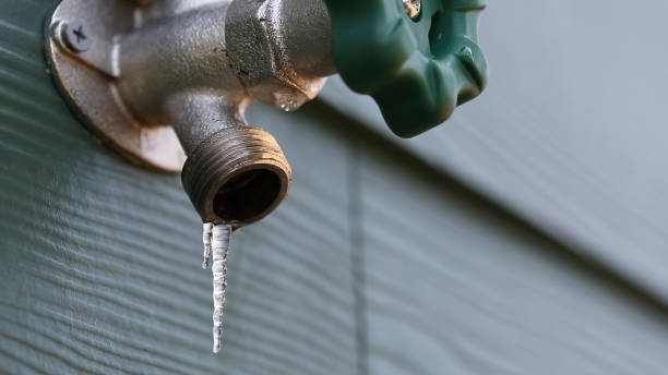 Best Plumbing Services Near Me  in Scenic Oaks, TX